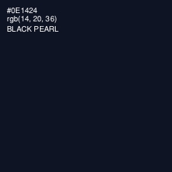 #0E1424 - Black Pearl Color Image